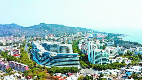 廈門火炬高新區(qū) 逐綠前行 擦亮高質量發(fā)展底色